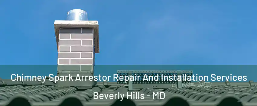 Chimney Spark Arrestor Repair And Installation Services Beverly Hills - MD