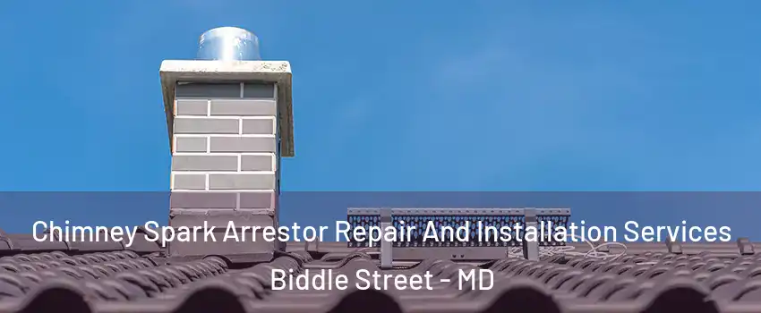 Chimney Spark Arrestor Repair And Installation Services Biddle Street - MD