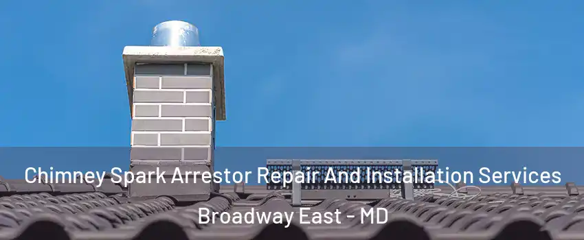 Chimney Spark Arrestor Repair And Installation Services Broadway East - MD