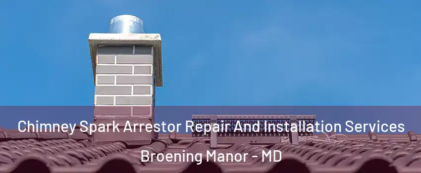 Chimney Spark Arrestor Repair And Installation Services Broening Manor - MD