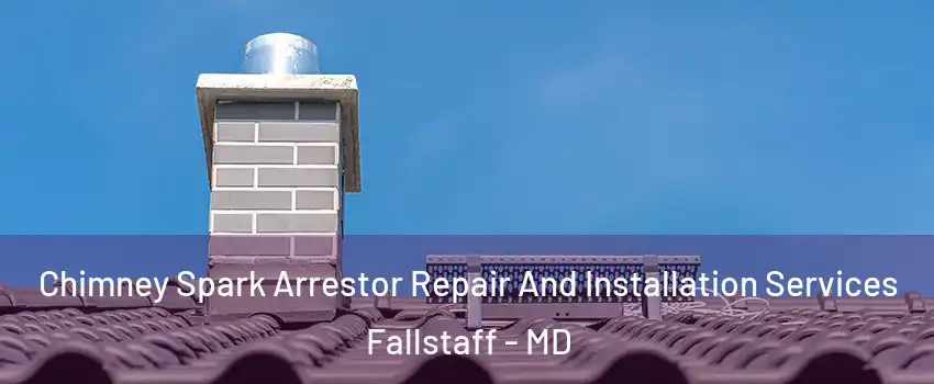 Chimney Spark Arrestor Repair And Installation Services Fallstaff - MD