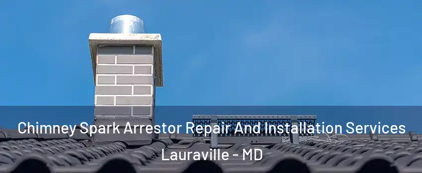 Chimney Spark Arrestor Repair And Installation Services Lauraville - MD