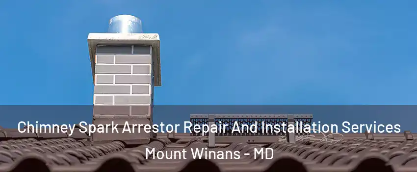 Chimney Spark Arrestor Repair And Installation Services Mount Winans - MD