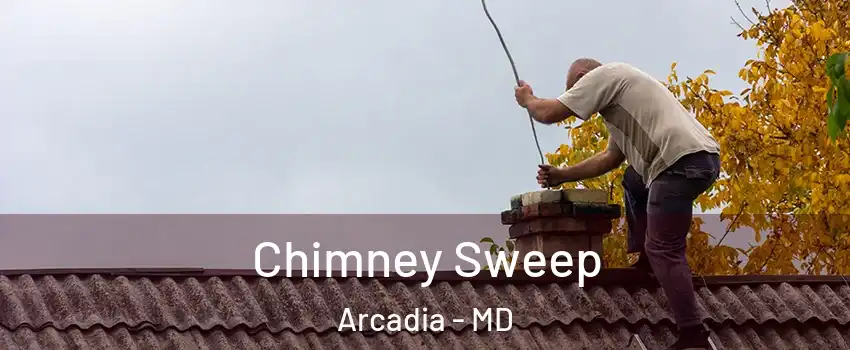 Chimney Sweep Arcadia - MD