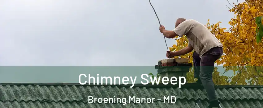 Chimney Sweep Broening Manor - MD