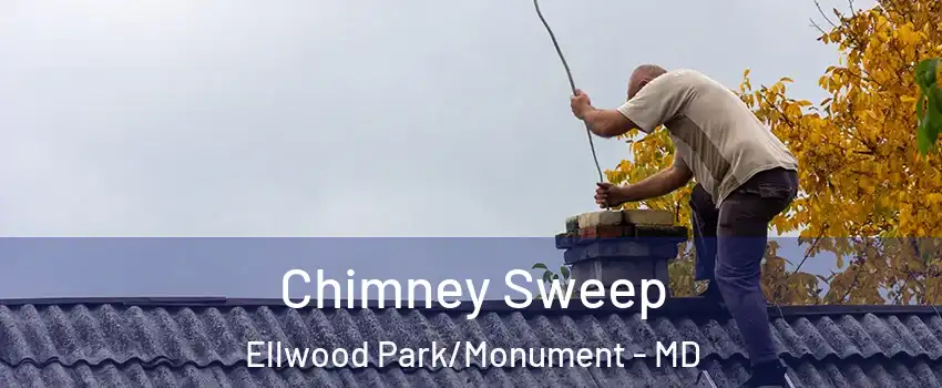 Chimney Sweep Ellwood Park/Monument - MD