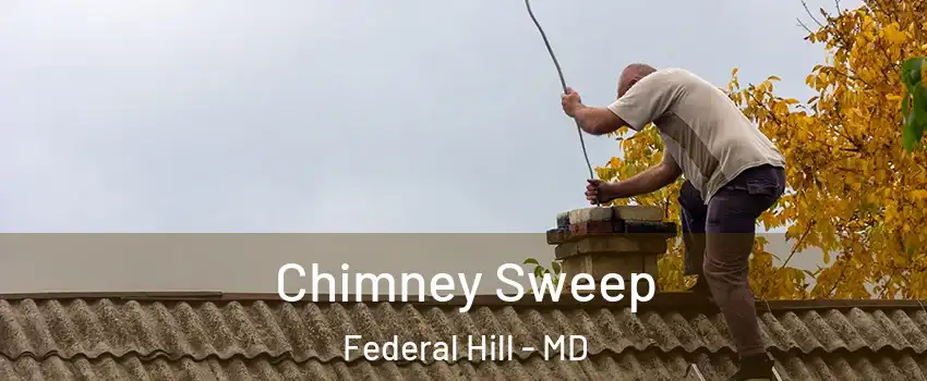 Chimney Sweep Federal Hill - MD