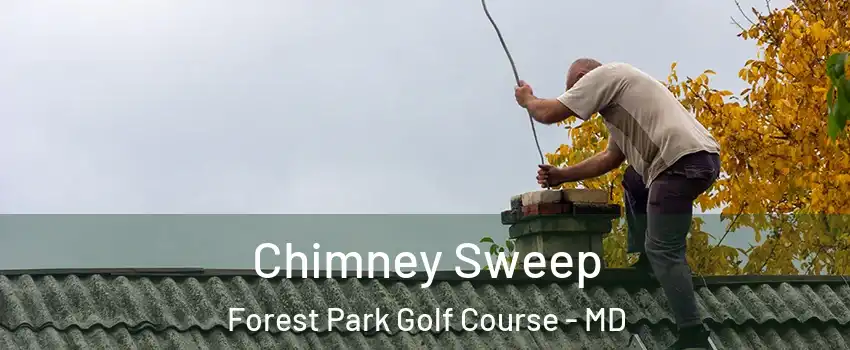 Chimney Sweep Forest Park Golf Course - MD