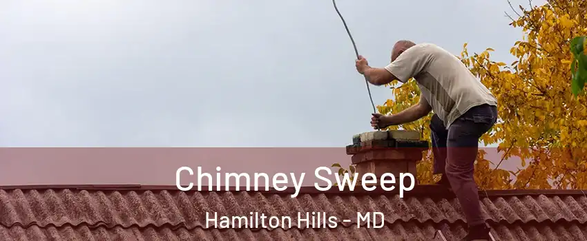 Chimney Sweep Hamilton Hills - MD