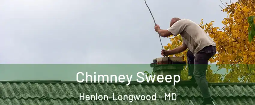 Chimney Sweep Hanlon-Longwood - MD