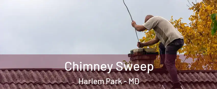 Chimney Sweep Harlem Park - MD