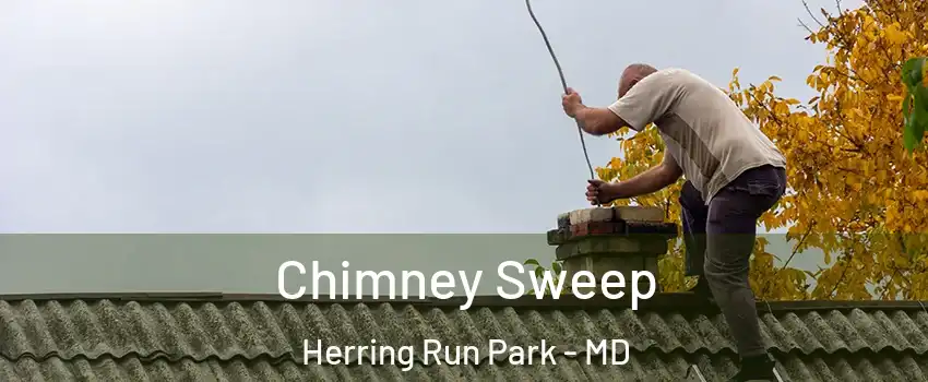 Chimney Sweep Herring Run Park - MD