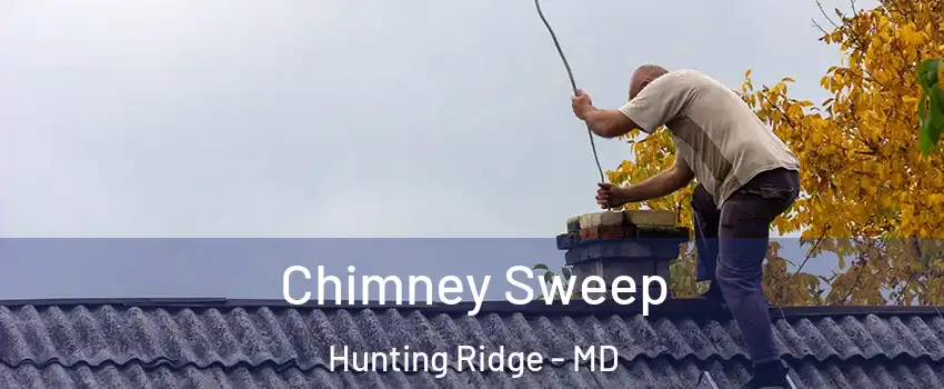 Chimney Sweep Hunting Ridge - MD