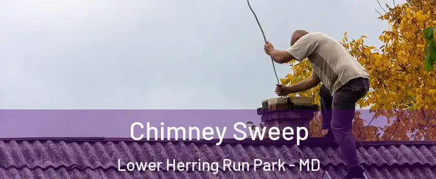 Chimney Sweep Lower Herring Run Park - MD