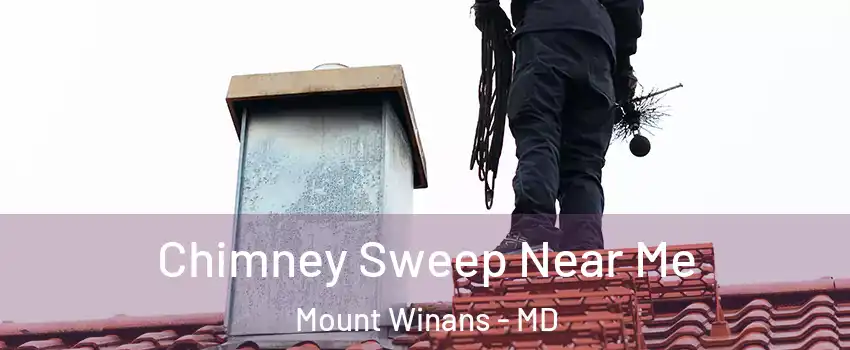 Chimney Sweep Near Me Mount Winans - MD