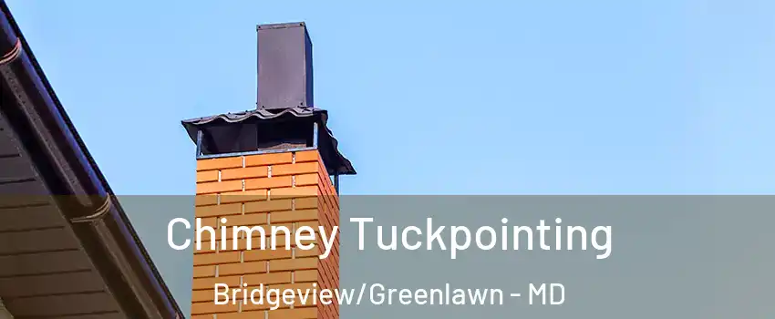 Chimney Tuckpointing Bridgeview/Greenlawn - MD