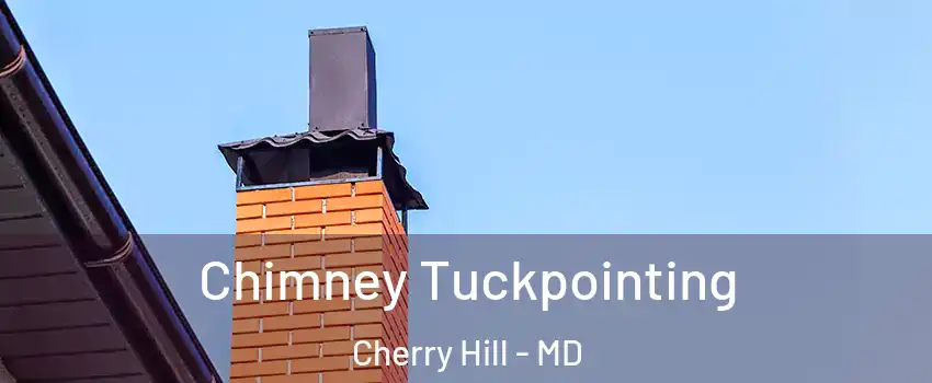 Chimney Tuckpointing Cherry Hill - MD