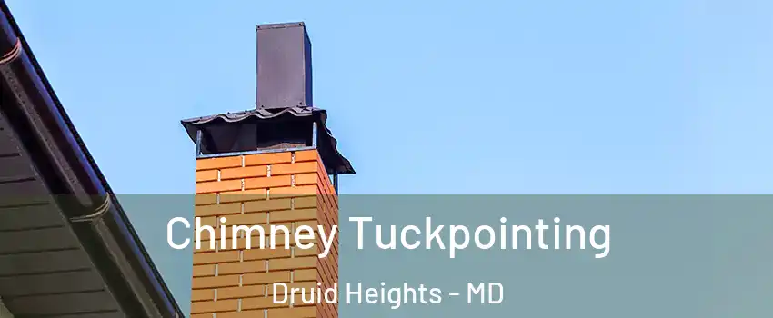 Chimney Tuckpointing Druid Heights - MD