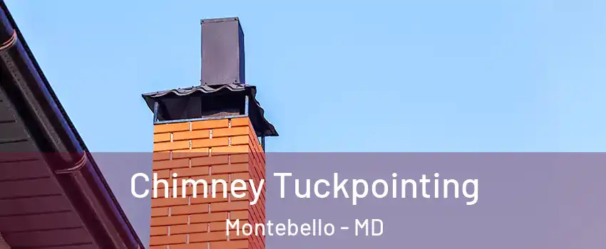 Chimney Tuckpointing Montebello - MD