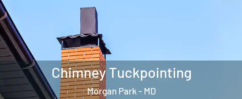 Chimney Tuckpointing Morgan Park - MD