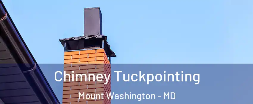 Chimney Tuckpointing Mount Washington - MD