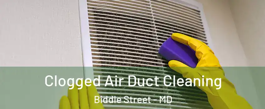 Clogged Air Duct Cleaning Biddle Street - MD