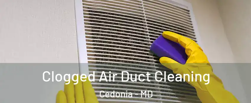 Clogged Air Duct Cleaning Cedonia - MD