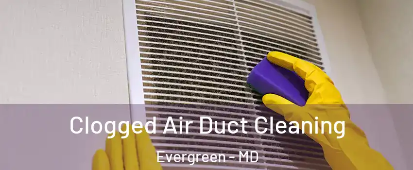 Clogged Air Duct Cleaning Evergreen - MD