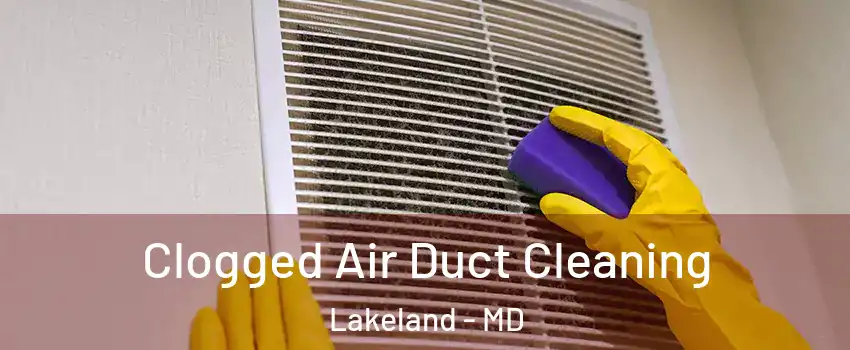 Clogged Air Duct Cleaning Lakeland - MD