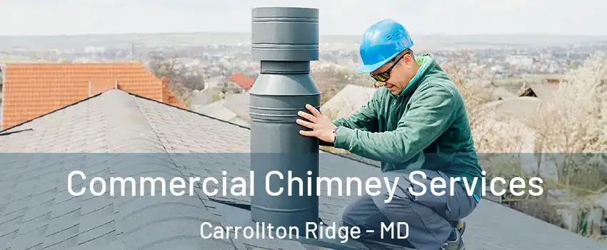 Commercial Chimney Services Carrollton Ridge - MD