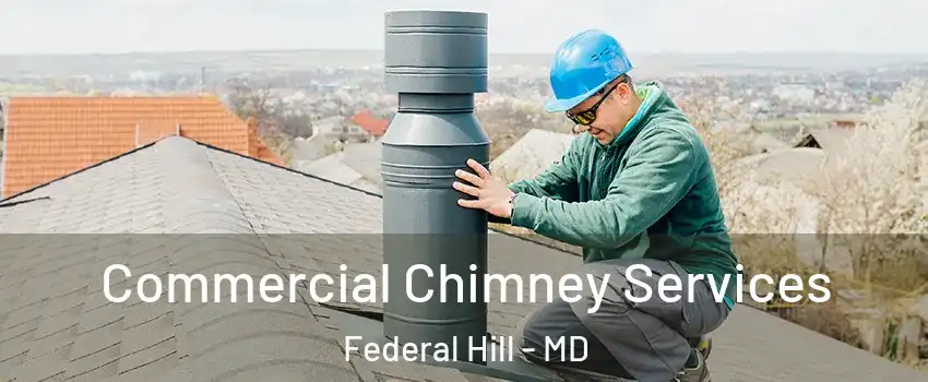 Commercial Chimney Services Federal Hill - MD