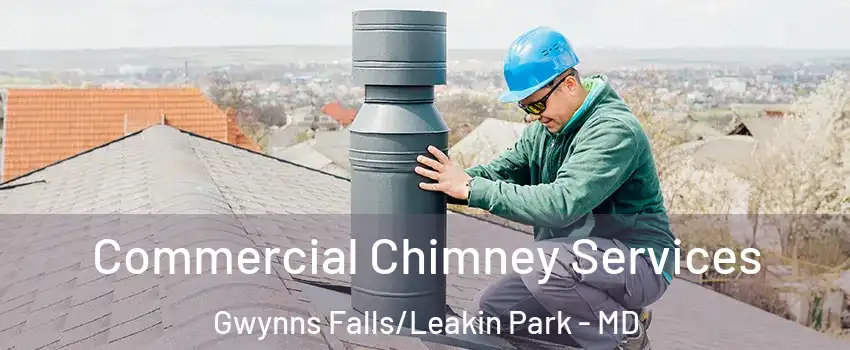 Commercial Chimney Services Gwynns Falls/Leakin Park - MD