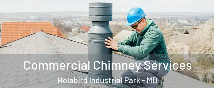 Commercial Chimney Services Holabird Industrial Park - MD