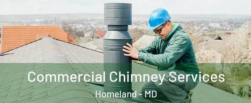 Commercial Chimney Services Homeland - MD