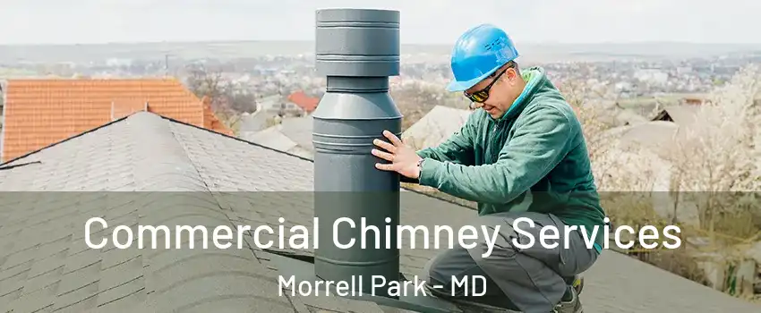 Commercial Chimney Services Morrell Park - MD