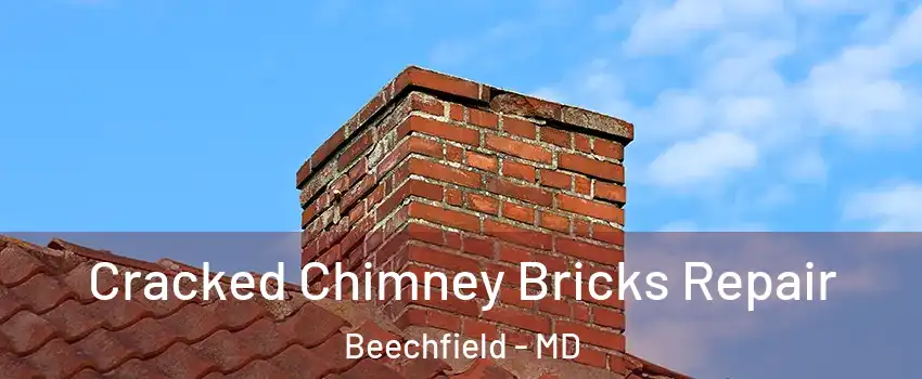 Cracked Chimney Bricks Repair Beechfield - MD