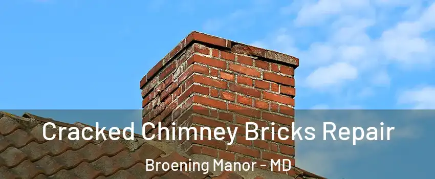 Cracked Chimney Bricks Repair Broening Manor - MD