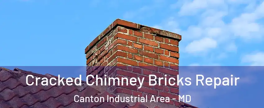 Cracked Chimney Bricks Repair Canton Industrial Area - MD