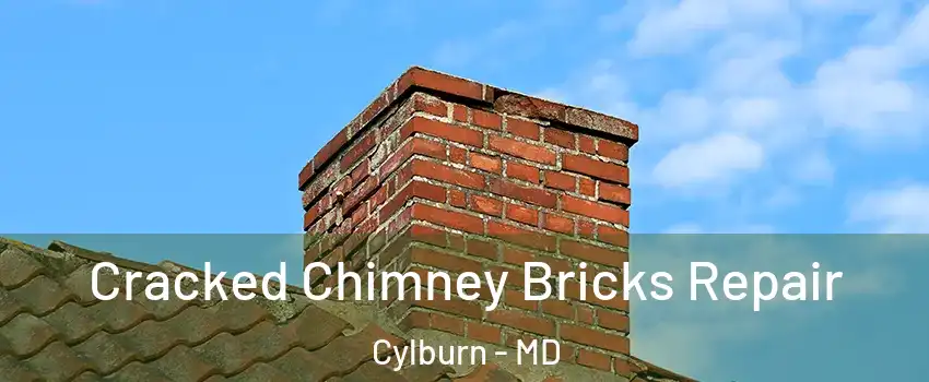 Cracked Chimney Bricks Repair Cylburn - MD