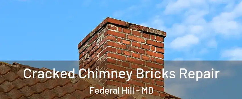 Cracked Chimney Bricks Repair Federal Hill - MD