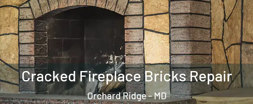 Cracked Fireplace Bricks Repair Orchard Ridge - MD