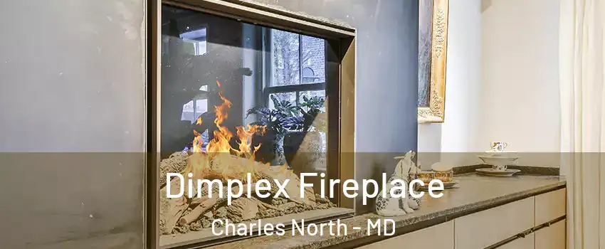 Dimplex Fireplace Charles North - MD