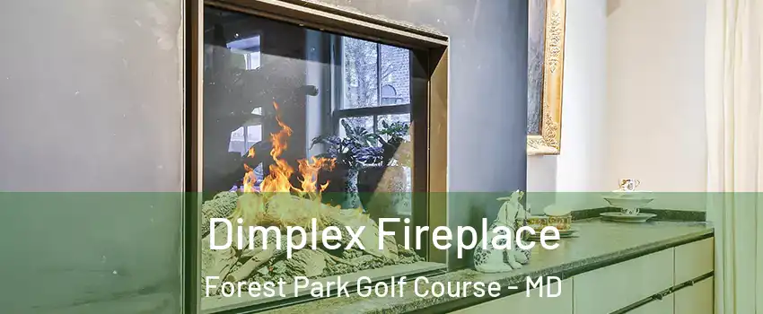 Dimplex Fireplace Forest Park Golf Course - MD