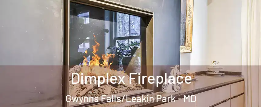 Dimplex Fireplace Gwynns Falls/Leakin Park - MD