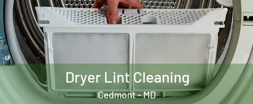 Dryer Lint Cleaning Cedmont - MD