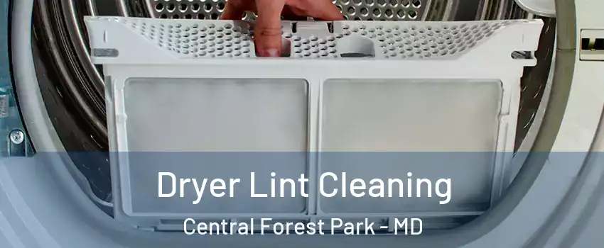 Dryer Lint Cleaning Central Forest Park - MD