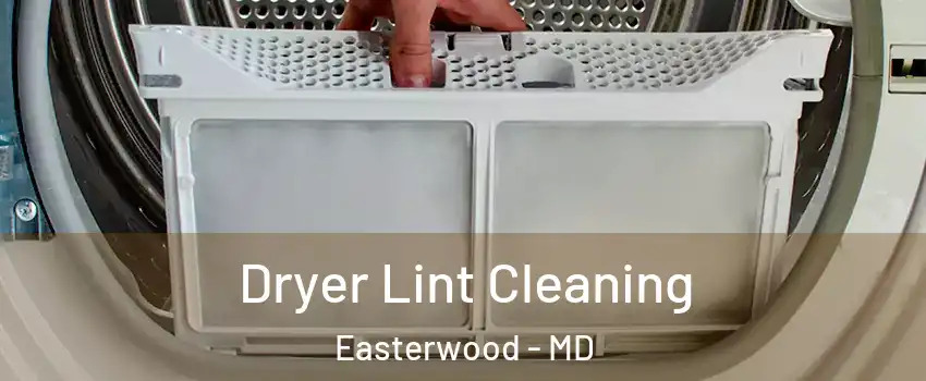 Dryer Lint Cleaning Easterwood - MD