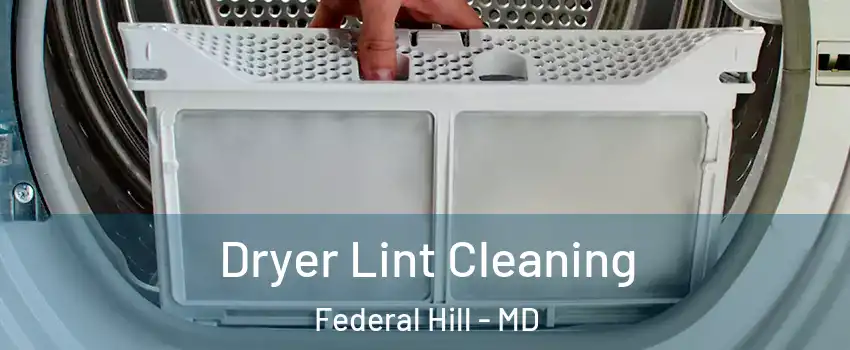 Dryer Lint Cleaning Federal Hill - MD