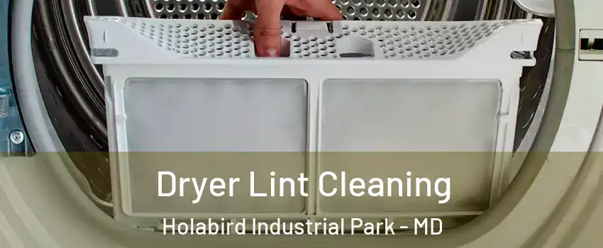 Dryer Lint Cleaning Holabird Industrial Park - MD