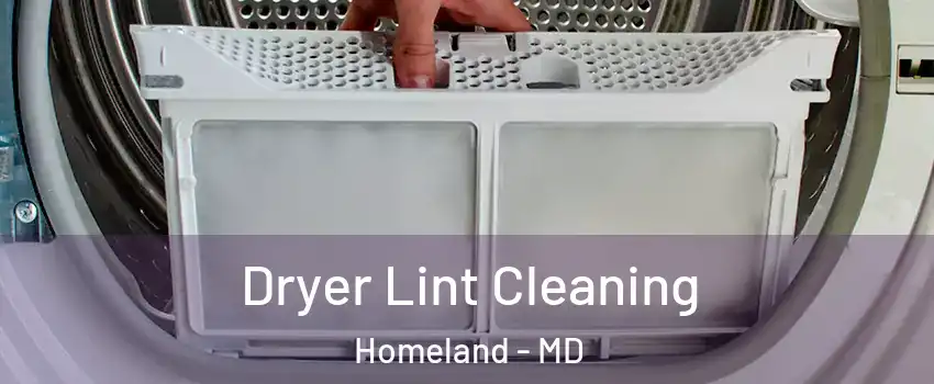 Dryer Lint Cleaning Homeland - MD